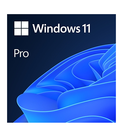 Microsoft Windows 11 Professional, CZ doživotní elektronická licence,  64 bit