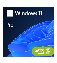 Windows 11 Pro - elektronická licence